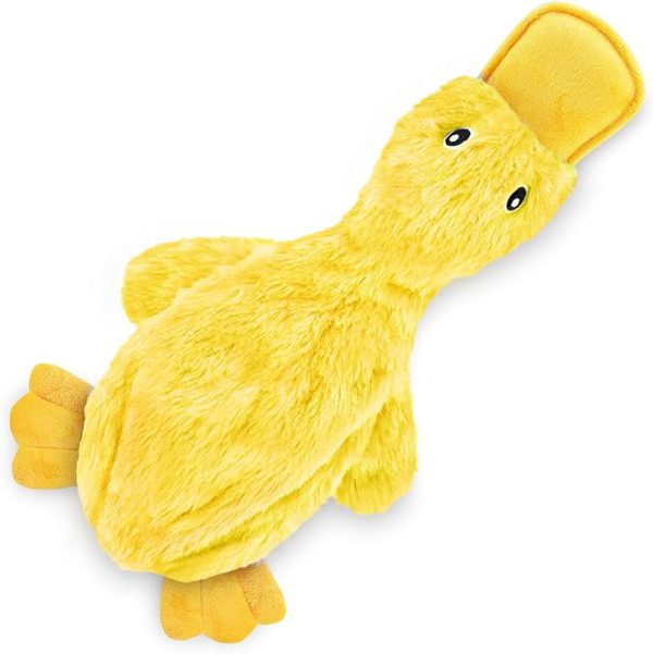 Crinkle Dog Toy